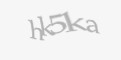 Защитный код