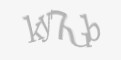 Защитный код