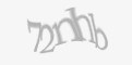 Защитный код