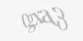 Защитный код