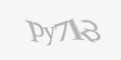 Защитный код