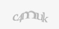 Защитный код