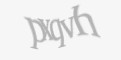 Защитный код