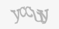 Защитный код