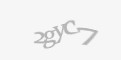 Защитный код